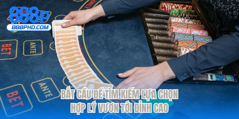 Bắt cầu để tìm kiếm lựa chọn hợp lý vươn tới đỉnh cao