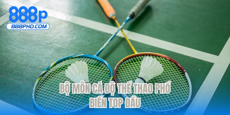 Bộ môn cá độ thể thao phổ biến top đầu