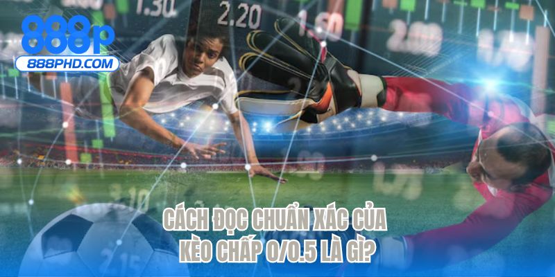 Cách đọc chuẩn xác của kèo chấp 0/0.5 là gì