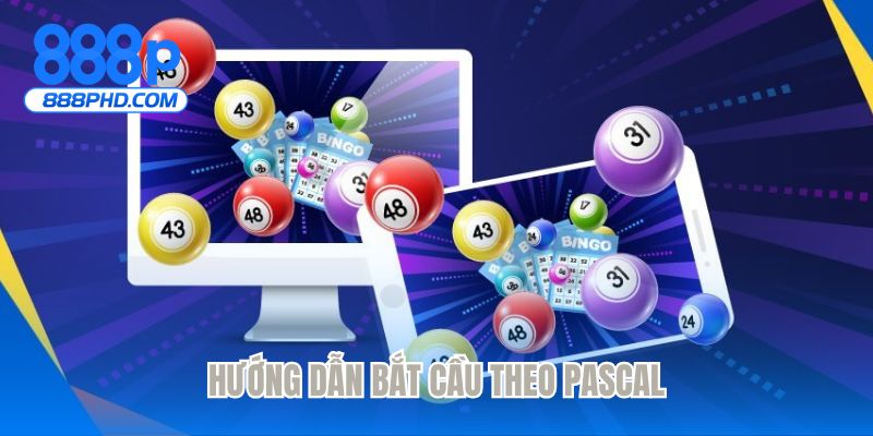 Hướng dẫn bắt cầu theo Pascal