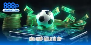 Kèo chấp 0/0.5 là gì