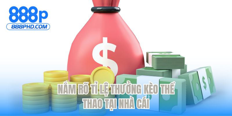 Nắm rõ tỉ lệ thưởng kèo thể thao tại nhà cái