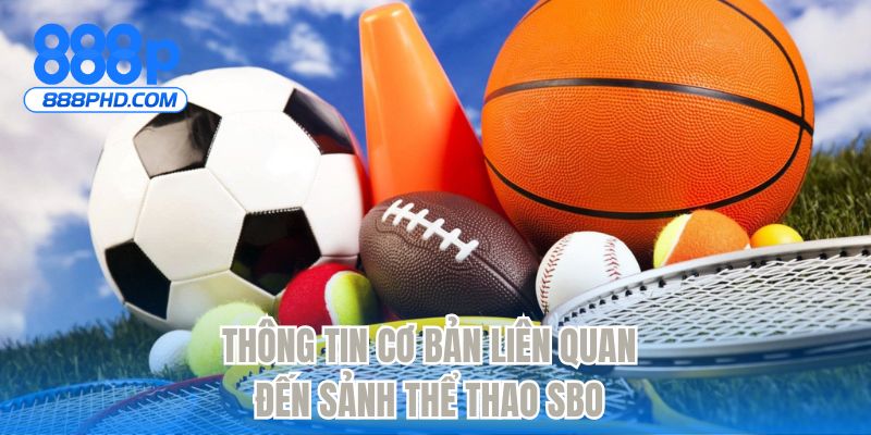 Thông tin cơ bản liên quan đến sảnh thể thao SBO